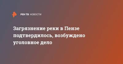 Светлана Артамонова - Загрязнение реки в Пензе подтвердилось, возбуждено уголовное дело - ren.tv - Россия - Пензенская обл. - Пенза