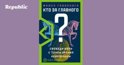 Кто это сделал — я или мой мозг? - republic.ru
