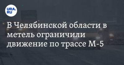 В Челябинской области в метель ограничили движение по трассе М-5 - ura.news - Башкирия - Челябинская обл. - Уфа - Челябинск
