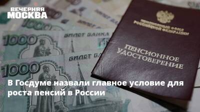 Светлана Бессараб - В Госдуме назвали главное условие для роста пенсий в России - vm.ru - Россия