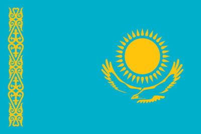 Даурен Абаев - Власти Казахстана заявили о снайперах среди протестующих - mk.ru - Казахстан