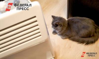 Башкирский город целый день сидит без тепла: «Процесс небыстрый» - fedpress.ru - Башкирия - район Белорецкий