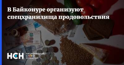 В Байконуре организуют спецхранилища продовольствия - nsn.fm - Казахстан - Байконур