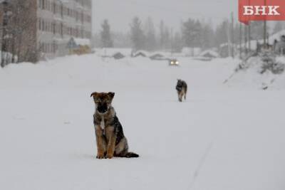 В Коми ожидается небольшой снег - bnkomi.ru - респ. Коми - Сыктывкар - Усинск - Печорск