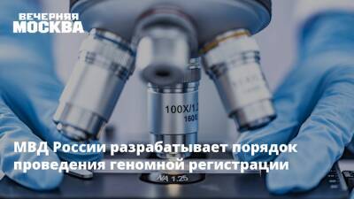 Александр Бастрыкин - МВД России разрабатывает порядок проведения геномной регистрации - vm.ru - Россия