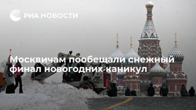 Евгений Тишковец - Центр "Фобос": москвичей ждут сильные снегопады в выходные - ria.ru - Москва - Россия - Смоленская обл. - Брянская обл. - Москва