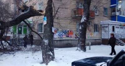 Внимание. Завтра в Луганске с утра сильный ветер. Днем он только усилится - cxid.info - Луганск