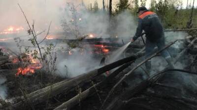 В 2021 году в лесах Пензенской области ликвидировали 62 пожара - penzainform.ru - Пензенская обл. - республика Мордовия