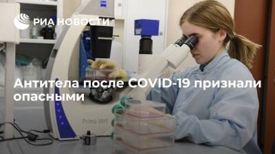 Ученые из США выяснили, что антитела после COVID-19 могут атаковать здоровые клетки - ria.ru - Москва - США - Англия - Бразилия - Лос-Анджелес - Индия