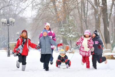 Каникулы до 9 или 17 января: останутся ли школьники дома еще на неделю - pravda-tv.ru - Башкирия - Казахстан