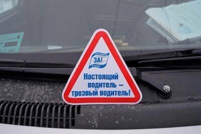 Два водителя стали фигурантами уголовных дел в Смоленской области - mk-smolensk.ru - Россия - Смоленская обл.