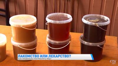 «Мед – это не лекарство». Чем полезен этот продукт и как выбрать подходящий именно вам? (+видео) - grodnonews.by - Белоруссия