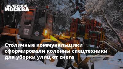 Евгений Тишковец - Столичные коммунальщики сформировали колонны спецтехники для уборки улиц от снега - vm.ru - Москва