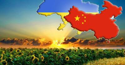 Товарообіг між Україною і Китаєм сягнув нового рекорду - goodnews.ua - Китай - США - Україна