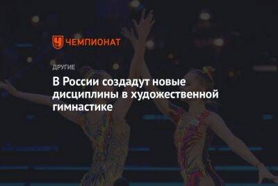 Ирина Винер - В России создадут новые дисциплины в художественной гимнастике - championat.com - Россия