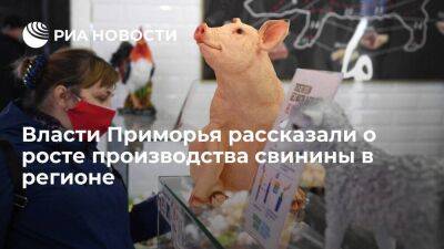 В Приморье заявили, что производство свинины в регионе в 2022 году вырастет в 2,5 раза - smartmoney.one - Россия - Красноярский край - Хабаровский край - Приморье край - Новосибирская обл. - Уссурийск - Партизанск