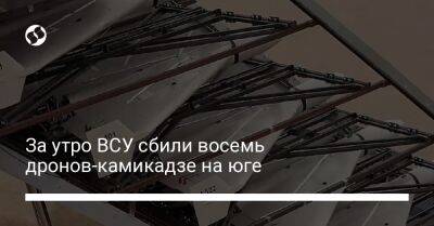 За утро ВСУ сбили восемь дронов-камикадзе на юге - liga.net - Россия - Украина - Винницкая обл. - Одесская обл.