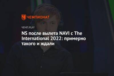 NS после вылета NAVI с The International 2022: примерно такого и ждали - championat.com