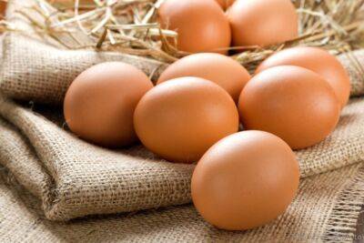 Тарас Высоцкий - В ноябре куриные яйца начнут дешеветь – Минагрополитики - golos.ua - Украина