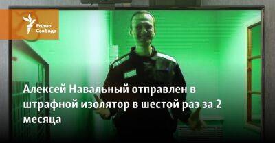 Алексей Навальный - Алексей Навальный отправлен в штрафной изолятор в шестой раз за два месяца - svoboda.org - Россия - Владимирская обл.