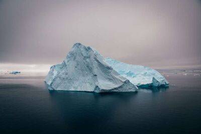 Антарктида - В Антарктиді виявлено давню ДНК віком 1 мільйон років - lenta.ua - Украина
