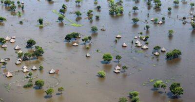 В Южном Судане от наводнения пострадали 900 тыс. человек - dsnews.ua - Украина - Афганистан - Южный Судан