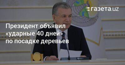 Шавкат Мирзиеев - Президент объявил «ударные 40 дней» по посадке деревьев - gazeta.uz - Узбекистан