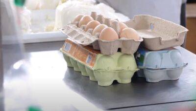 Цены на яйца взлетели, а на гречку поползли вниз: выяснились реальные причины - politeka.net - Украина