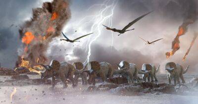 Дрожь Земли. Астероид, убивший динозавров, вызвал землетрясение, сотрясавшее планету месяцами - focus.ua - Украина - New York - Техас - штат Алабама - штат Миссисипи