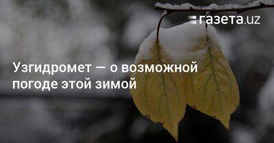 Узгидромет — о возможной погоде этой зимой - gazeta.uz - Россия - Узбекистан - Ташкент