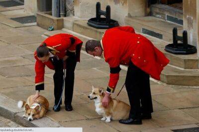 король Георг VI (Vi) - принц Эндрю - принцесса Беатрис - принцесса Евгения - Герцогиня Йоркская рассказала как заботятся о собаках королевы - obzor.lt - Дворец