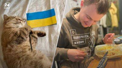 Тарас Чмут - MsBulochka старается: кошка Тараса Чмута собрала более 2 миллионов для ВСУ - 24tv.ua - Украина