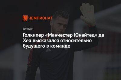 Давид Де-Хеа - Голкипер «Манчестер Юнайтед» де Хеа высказался относительно будущего в команде - championat.com - Испания