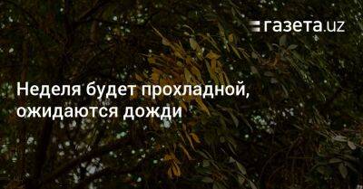 Неделя будет прохладной, ожидаются дожди - gazeta.uz - Узбекистан - Туркмения - Навоийской обл.