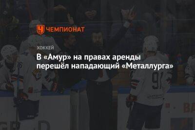 В «Амур» на правах аренды перешёл нападающий «Металлурга» - championat.com - Россия - Хабаровск