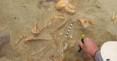 Археологи обнаружили захоронение берберийской обезьяны с военной амуницией (фото) - focus.ua - Украина - Англия - Рим - Римская Империя