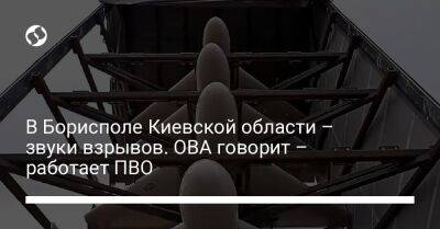 Алексей Кулеба - В Борисполе Киевской области – звуки взрывов. ОВА говорит – работает ПВО - liga.net - Украина - Киевская обл. - Борисполь