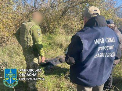 Расстрел автоколонны под Купянском: обнаружили жертву и двух спасшихся (фото) - objectiv.tv - Украина - Купянск - Харьков