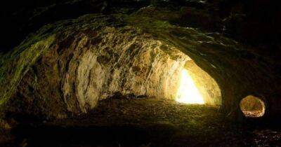 Возрастом полмиллиона лет. В польской пещере обнаружили следы особого вида человека - focus.ua - Украина - Польша - Варшава