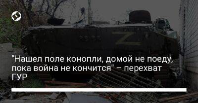 "Нашел поле конопли, домой не поеду, пока война не кончится" – перехват ГУР - liga.net - Москва - Украина