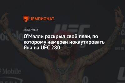 Ян Петр - Шон Омэлли - О’Мэлли раскрыл свой план, по которому намерен нокаутировать Яна на UFC 280 - championat.com - Россия