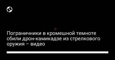 Пограничники в кромешной темноте сбили дрон-камикадзе из стрелкового оружия – видео - liga.net - Россия - Украина - Крым - Одесская обл.