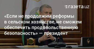 Шавкат Мирзиеев - «Если не продолжим реформы в сельском хозяйстве, не сможем обеспечить продовольственную безопасность» — президент - gazeta.uz - Узбекистан