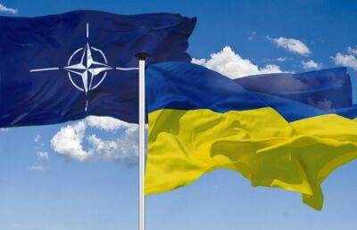 Клаус Йоханнис - Восемь стран выступили за присоединение Украины к НАТО – президент Румынии - ont.by - Украина - Белоруссия - Румыния - Эстония - Польша - Литва - Чехия - Македония - Черногория - Словакия