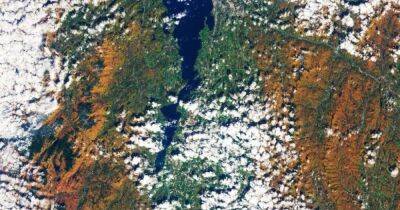 Земля в золоте. Ученые показали, как выглядит осень из космоса (фото) - focus.ua - США - Украина - Нью-Йорк - шт. Нью-Йорк