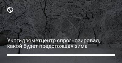 Укргидрометцентр спрогнозировал, какой будет предстоящая зима - liga.net - Украина