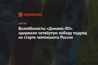 Волейболисты «Динамо-ЛО» одержали четвёртую победу подряд на старте чемпионата России - championat.com - Россия - Ленинградская обл. - Оренбург - Новокуйбышевск