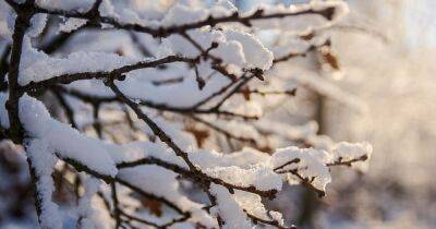 Зимой в Украине может быть на 1-2 градуса теплее нормы, — Укргидометцентр - dsnews.ua - Украина