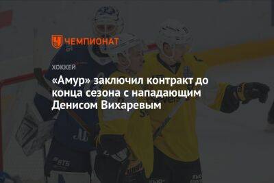 «Амур» заключил контракт до конца сезона с нападающим Денисом Вихаревым - championat.com - Сочи - Череповец