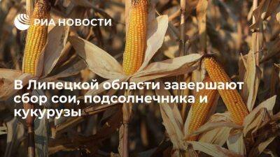 Игорь Артамонов - В Липецкой области завершают сбор сои, подсолнечника и кукурузы - smartmoney.one - Липецкая обл.